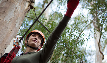tree cutting service in bradenton
